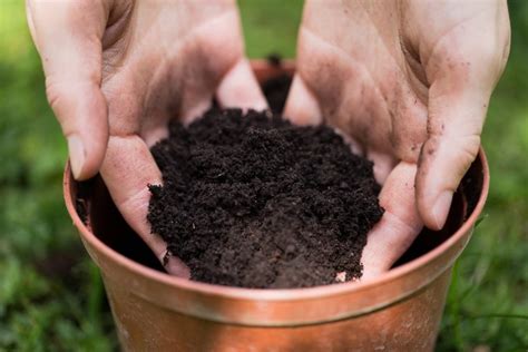 Garden magic potging soil